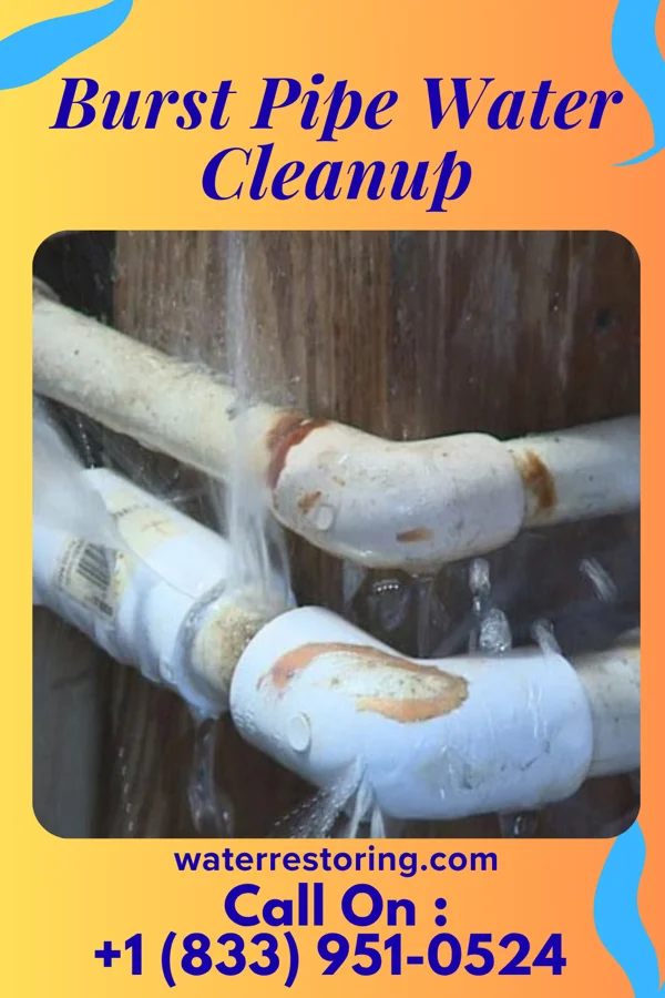 Burst Pipe Water Cleanup in Buchanan, NY