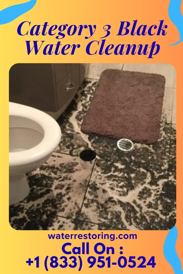 Category 3 Black Water Cleanup in Buchanan, NY
