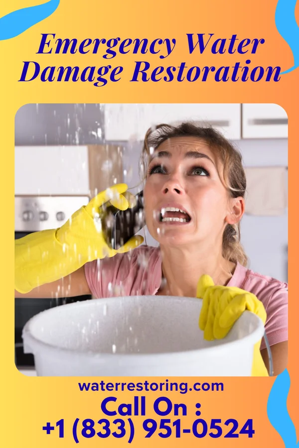 Emergency Water Damage Restoration in Buchanan, NY