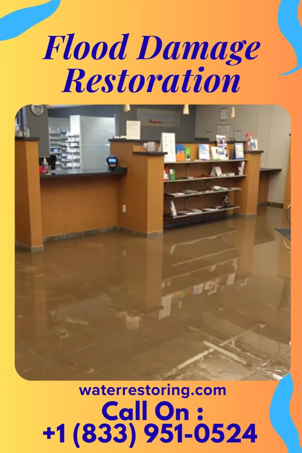 Flood Damage Restoration in Buchanan, NY