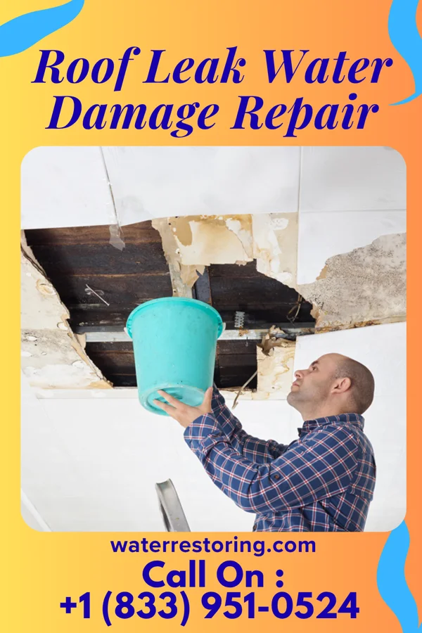 Roof Leak Water Damage Repair in Buchanan, NY