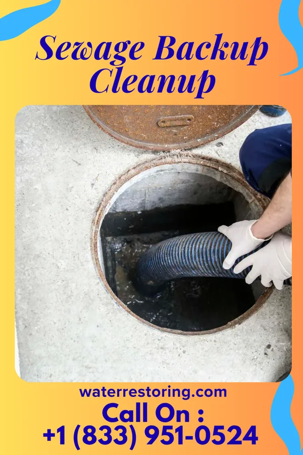Sewage Backup Cleanup in Buchanan, NY